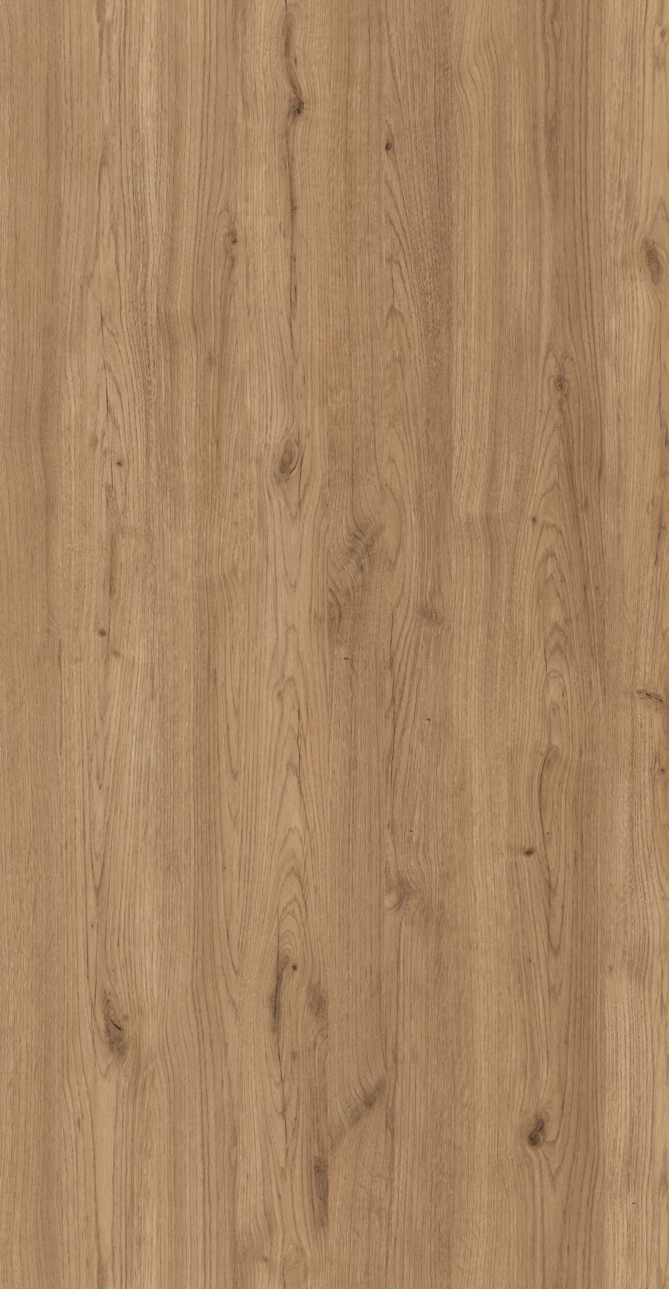 Carvalho Salerno M6263 Innovus