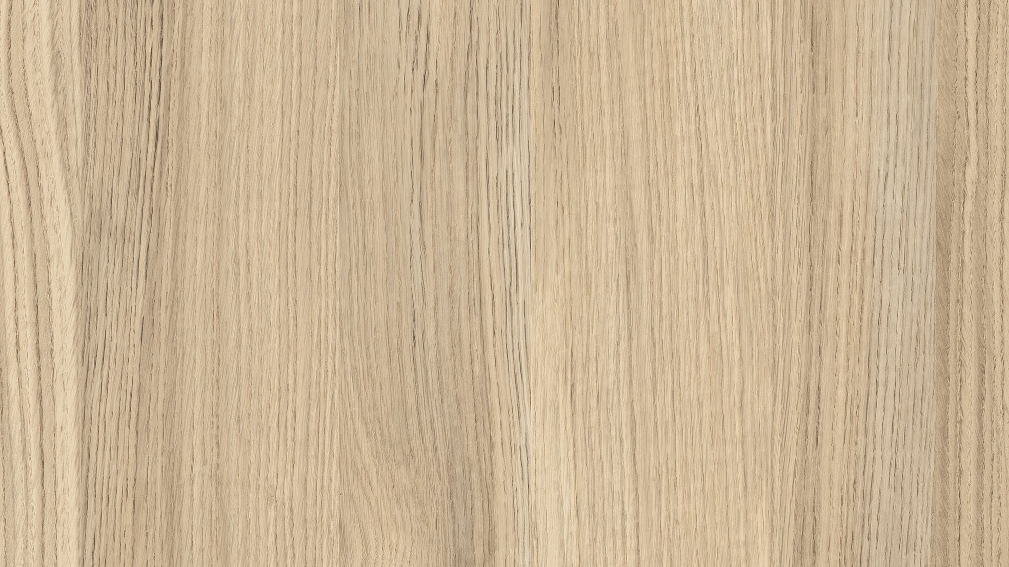 Carvalho Biscuit M6284 Innovus